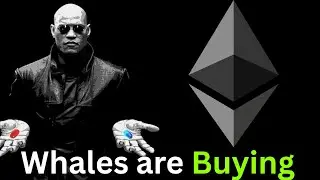 Ethereum Whales Are Buying As ETH faces Tough Path To New All Time High. Is The Cycle Over?
