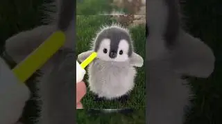 Like to eat anything#pet #pets #creative #AI #new #funny #fun #cute #Penguin #healing #cuteness