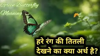 Green Butterfly | Green Butterfly Meaning 🦋💚 | Hare Rang Ki Titali Dekhna | Seeing Green Butterfly 
