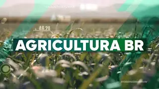 Agricultura BR 2ª Edição | 03/02/2026