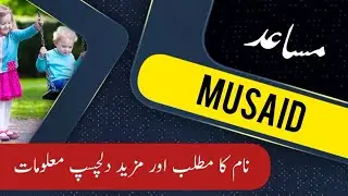 MUSAID name meaning in urdu & English with lucky number | MUSAID Islamic Baby Boy Name | Ali Bhai