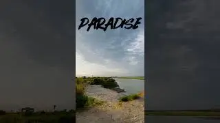 Chasing freedom on two wheels in paradise🌴🏍️ #HarleyHeaven #BikerParadise #RideAndRoam #HarleyLife