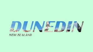 Dunedin | Videography