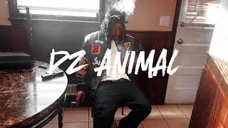 D-Z Animal DO SUM (official video)