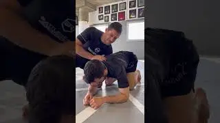2 submissions from turtle #bjj #jiujitsu #bjjdrills
