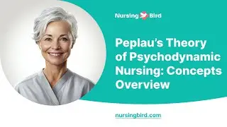 Peplau&rsquo;s Theory of Psychodynamic Nursing: Concepts Overview - Essay Example