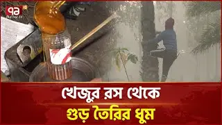 আশুলিয়ায় খেজুর রস সংগ্রহে ব্যস্ততা, বাড়ছে গুড় তৈরির ধুম | Ashulia | Ekattor TV