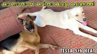 നമ്മുടെ ടെറി, ടെസ്സയെ അടിച്ചോണ്ടു പോയി GUYS😩: Good morning with Tessa, Terry, Tuna & Happy