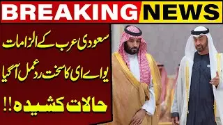 UAE Strong Reaction to Saudi Arabia Allegations | Tensions Escalate | Middle East Crisis Update