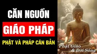 CĂN NGUỒN GIÁO PHÁP: HIỂU RÕ PHẬT VÀ NHỮNG PHÁP CĂN BẢN  | PHẬT GIÁO