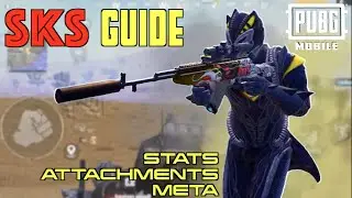 COMPLETE GUIDE TO THE SKS PUBG MOBILE WEAPONS & STATS