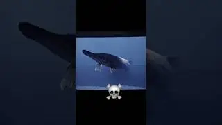 Arowana VS Alligator Gar☠️