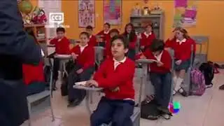 larosa de guadalupe