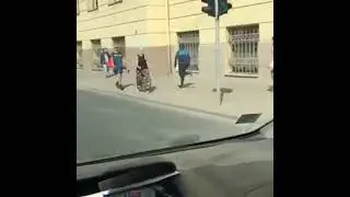 Policija