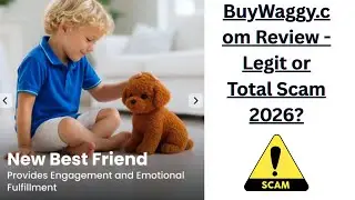 Обзор BuyWaggy.com &mdash; законно или полный обман в 2026 году?