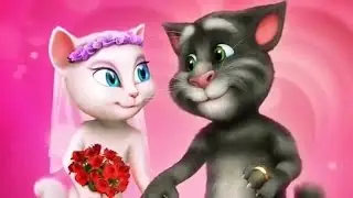GATO TOM dejaria todo por ti