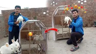 AJ Hamare set-up pr BHT piyare rabbits agaye😍😍