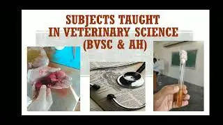 Subjects in Veterinary |BVSC & AH| #neet #vet #veterinary #veterinaryscience #bvsc #share
