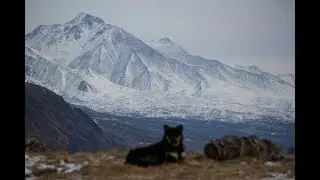 Migrating with Mongolian Nomads: Winter Pastures Tour