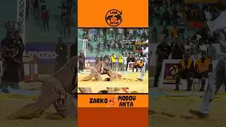🩸Zarko Vs Modou Anta Combat hyper dur #luttes&eacute;n&eacute;galaise #lamb #zarko #modouanta #senegal