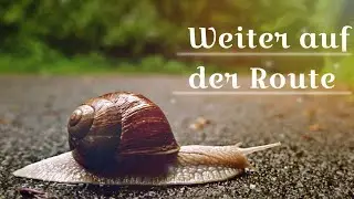 Die Flucht vor Gewittern | Tag 10-12 ~ Singatour | sawyou