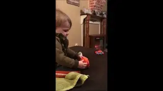 Dog Gently Pushes a Small Ball While Playing Fetch With a Baby