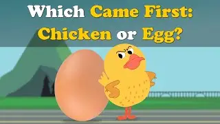 Что было первым: курица или яйцо?