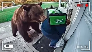 Craziest Animal Moments Caught on Camera &ndash; Unbelievable Wildlife Encounters
