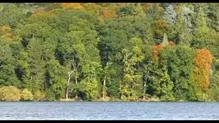 Autumn Loch of Butterstone On Visit To Perthshire Scotland