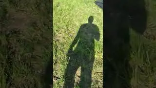 Scott green Max on thin lawn review