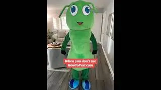🎯This is WHY you NEED pest control!