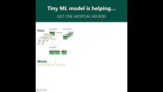 Nutrient Dose&ndash;Response Curves Using NutriCurvist &mdash; A Tiny ML Model