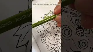 Colouring leaves using Albrecht D&uuml;rer pencils in A Rainy Day Colouring Book by Morgan O&rsquo;Brien