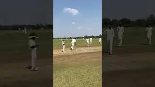 ❤️🏏🌍