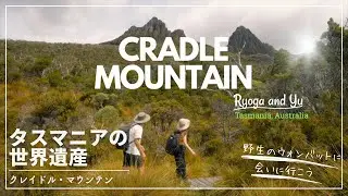 『タスマニア絶景ハイキング』あの動物に会いに行こう！夜には道路がリアルサファリパークに？！