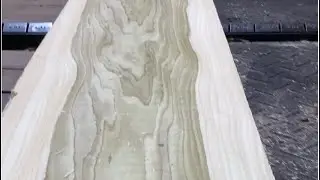 Sapwood and heartwood. What&rsquo;s the difference?