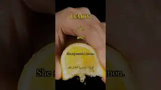 Learn English Word 'Lemon'  #Farsi #Lemon @LearnEnglishPersian