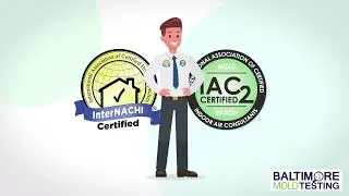 Mold Testing Baltimore Mold Inspection- Baltimore Mold Inspector - Property Inspection Pros