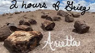 Grieg- Arietta- 2 Hours Version