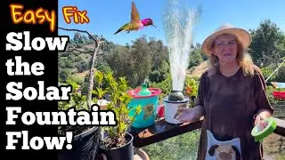 Slow the Flow * How to Make a Solar Fountain for Hummingbirds Endless Water Bird Bath DIY Easy Fix