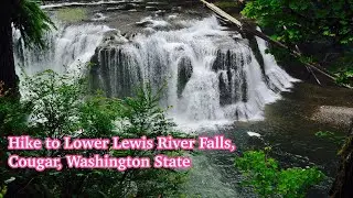 Hike to Lewis Lower River Falls, Cougar, Washington State