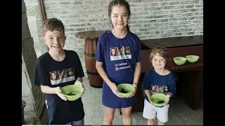 Baby Turtle Release - Bali Intercontinental Beach - October 2022