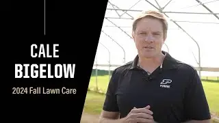 Purdue Expert: Fall lawn care tips