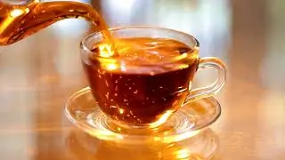 Stassen Tea Russian Version