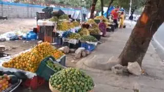 Mango shopping, where to buy mango| Mango season India| Mangoes | Vlog time | Merriness