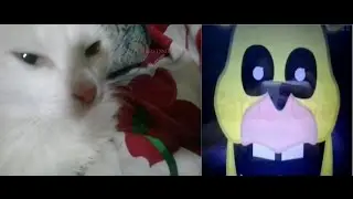 bubbas diner jumpscares