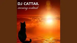 Evening Cocktail