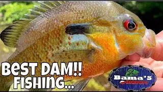 BEST!! DAM Fishing TIPS And TECHNIQUES For BASS, BLUEGILL And TROUT| 4K