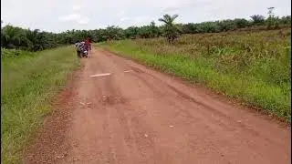 INFO JUAL LAHAN KOSONG KALBAR ‼️‼️SILAHKAN TANYA
