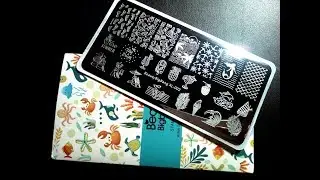 BEAUTY BIG BANG XL-002 Stamping Plate Review and Swatch.